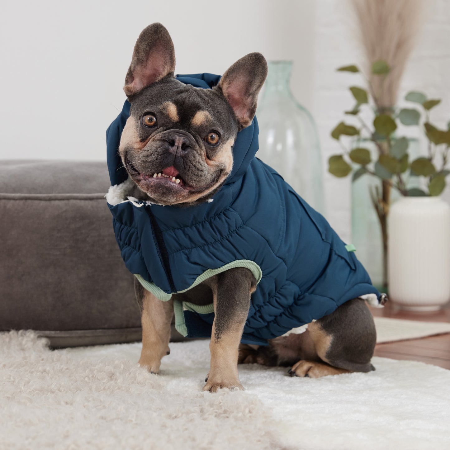 Arctic Parka Dog Coat image 0