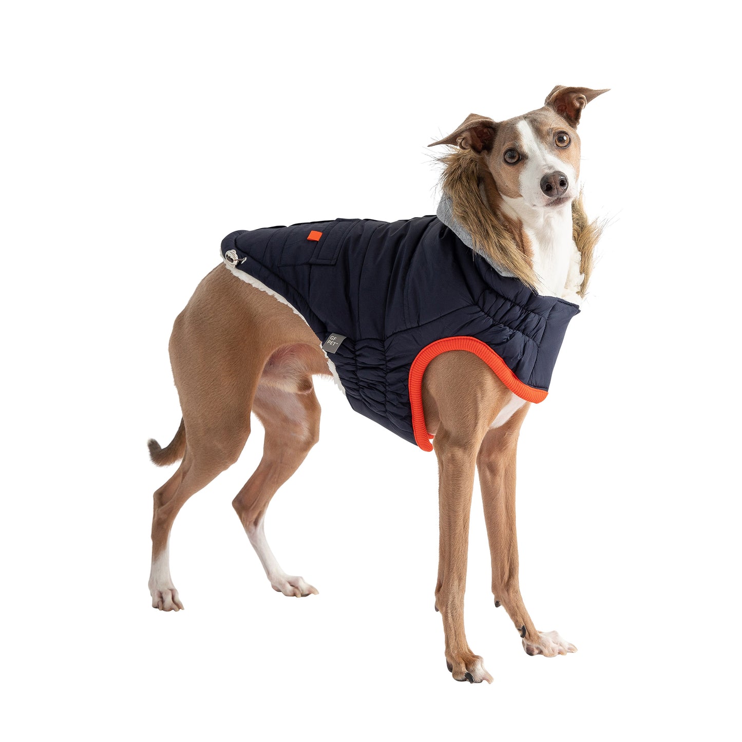 Winter Sailor Parka Dog Coat image 3