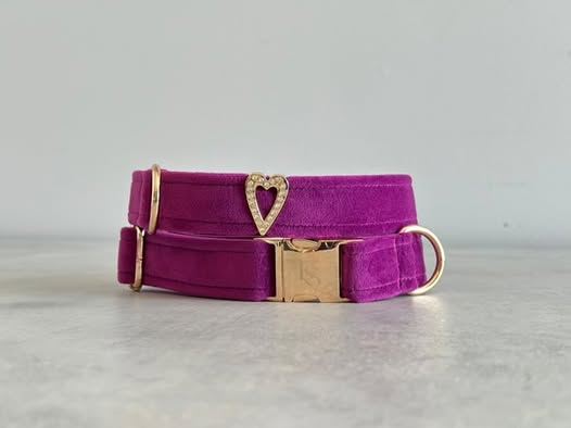 Velvet Dog Collar w/ Heart Embellishment