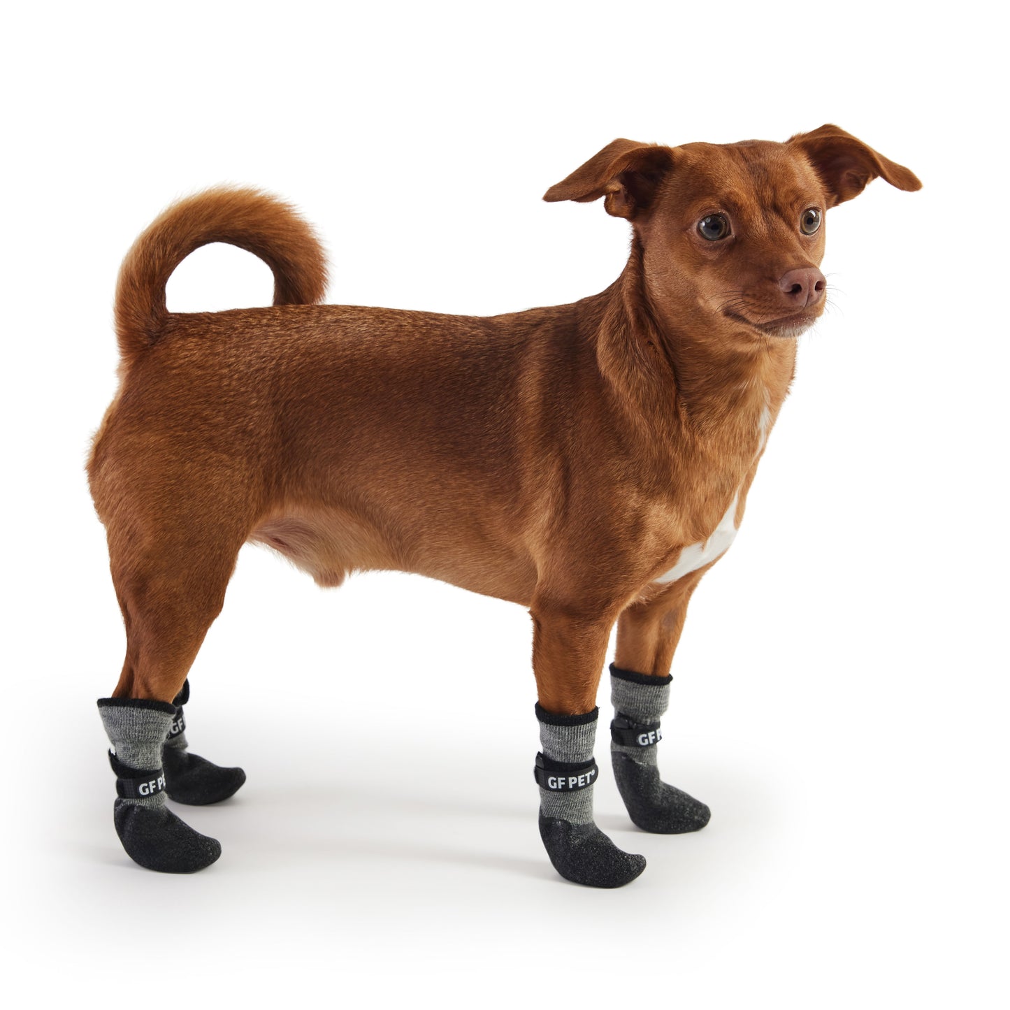All Terrain Dog Boots image 0
