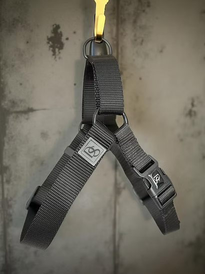 Dog Harness w/ Webbing