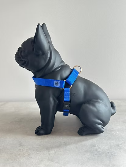 Dog Harness w/ Webbing
