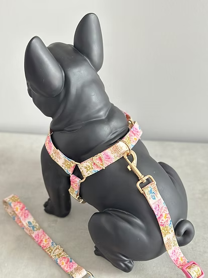 Peony Crush Dog Harness