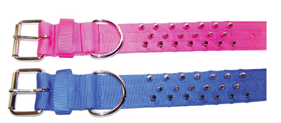 Bad to the Bone Spiked Dog Collar - 2"