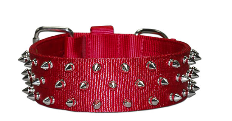 Bad to the Bone Spiked Dog Collar - 2"