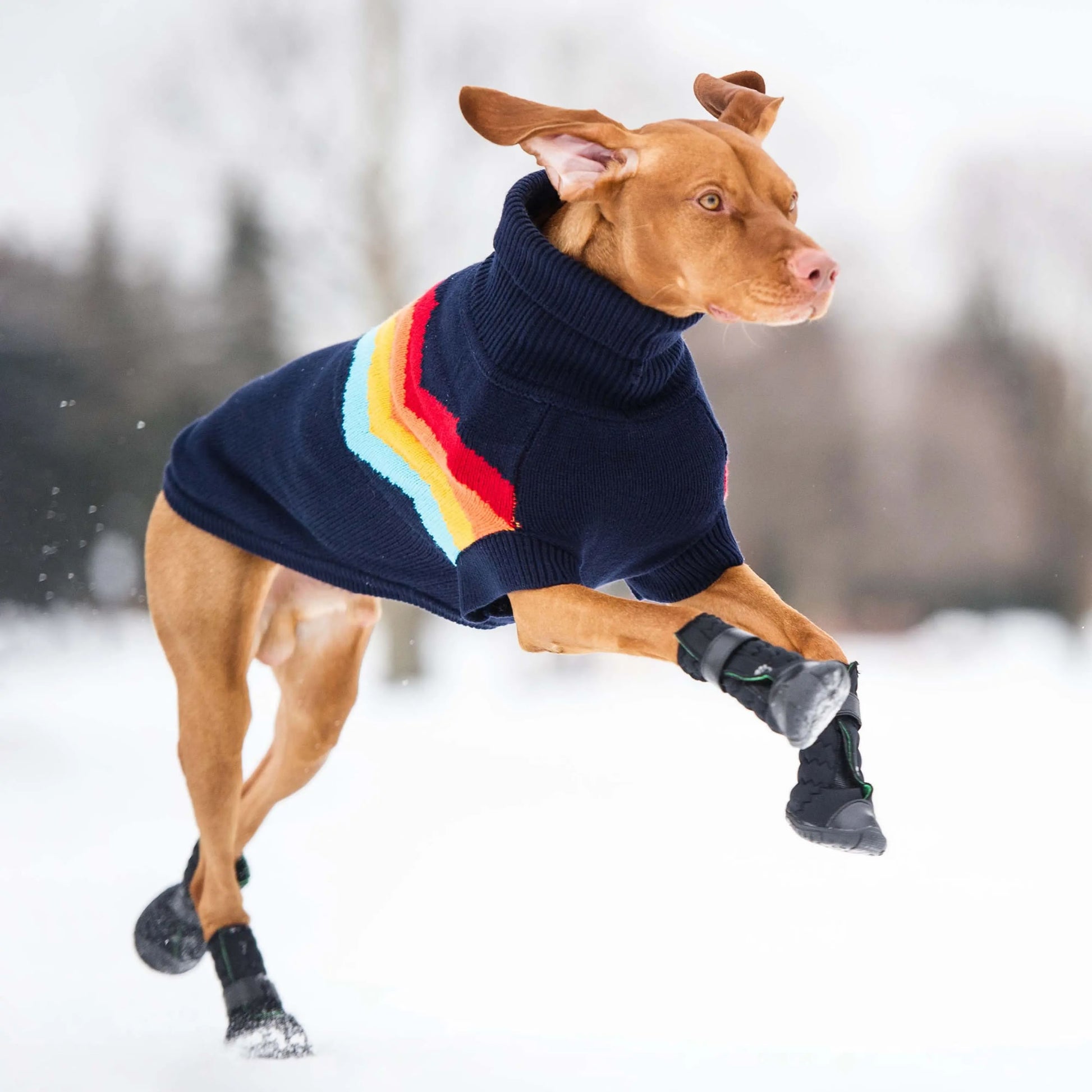 Elasto-Fit Dog Boots image 2