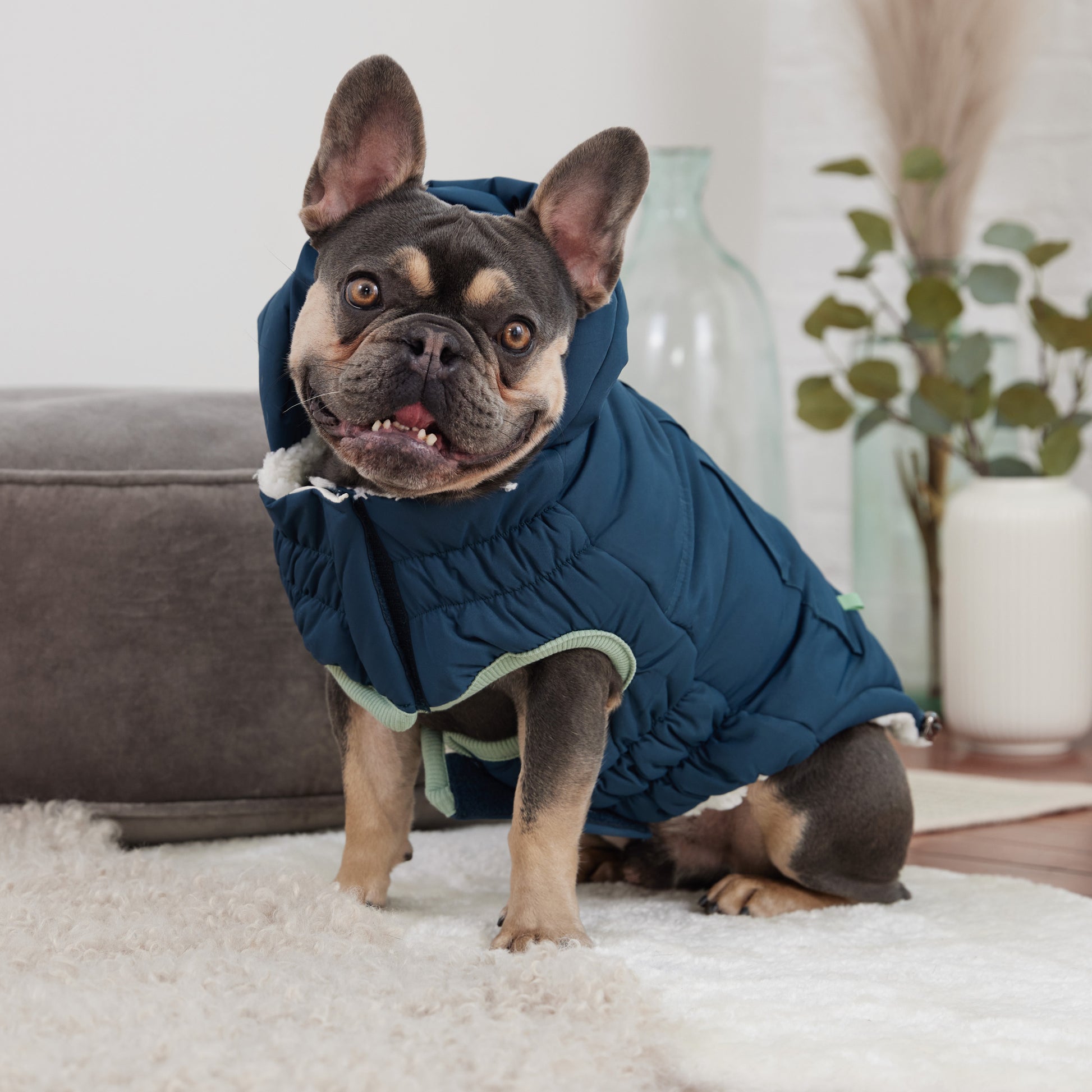 Arctic Parka Dog Coat image 0