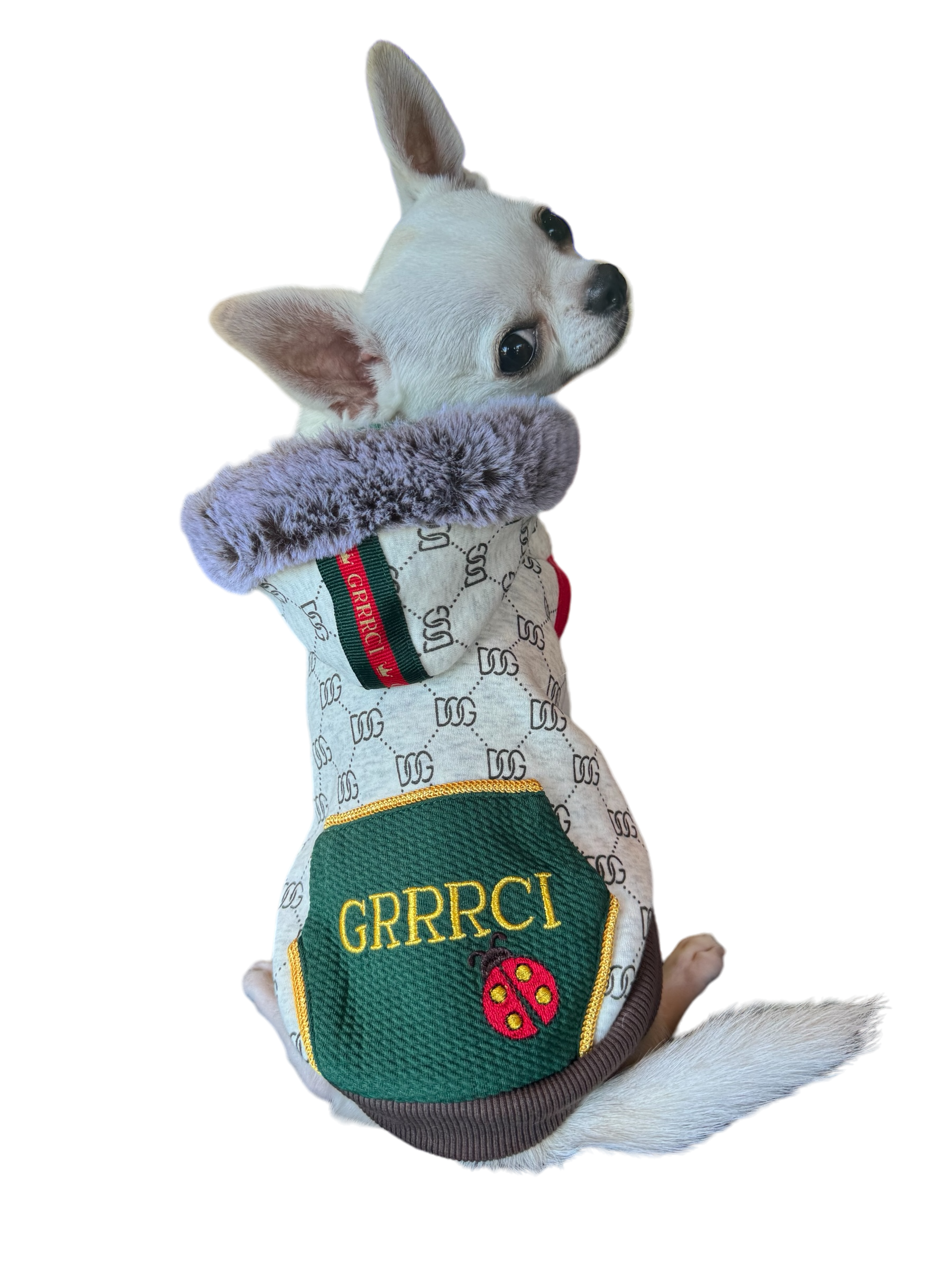 GRRRCI Lady Bug Dog Hoodie image 1