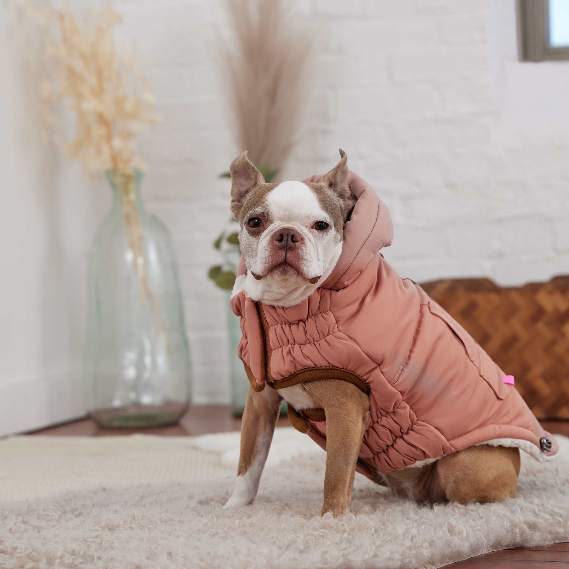 Arctic Parka Dog Coat image 3