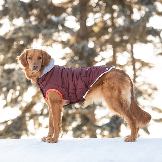 Winter Sailor Parka Dog Coat image 0
