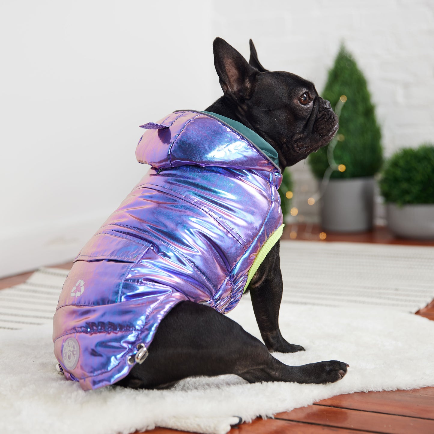 Recycled Parka Dog Coat image 1
