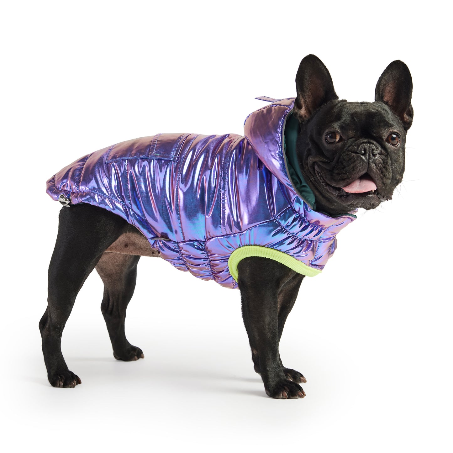 Recycled Parka Dog Coat image 0