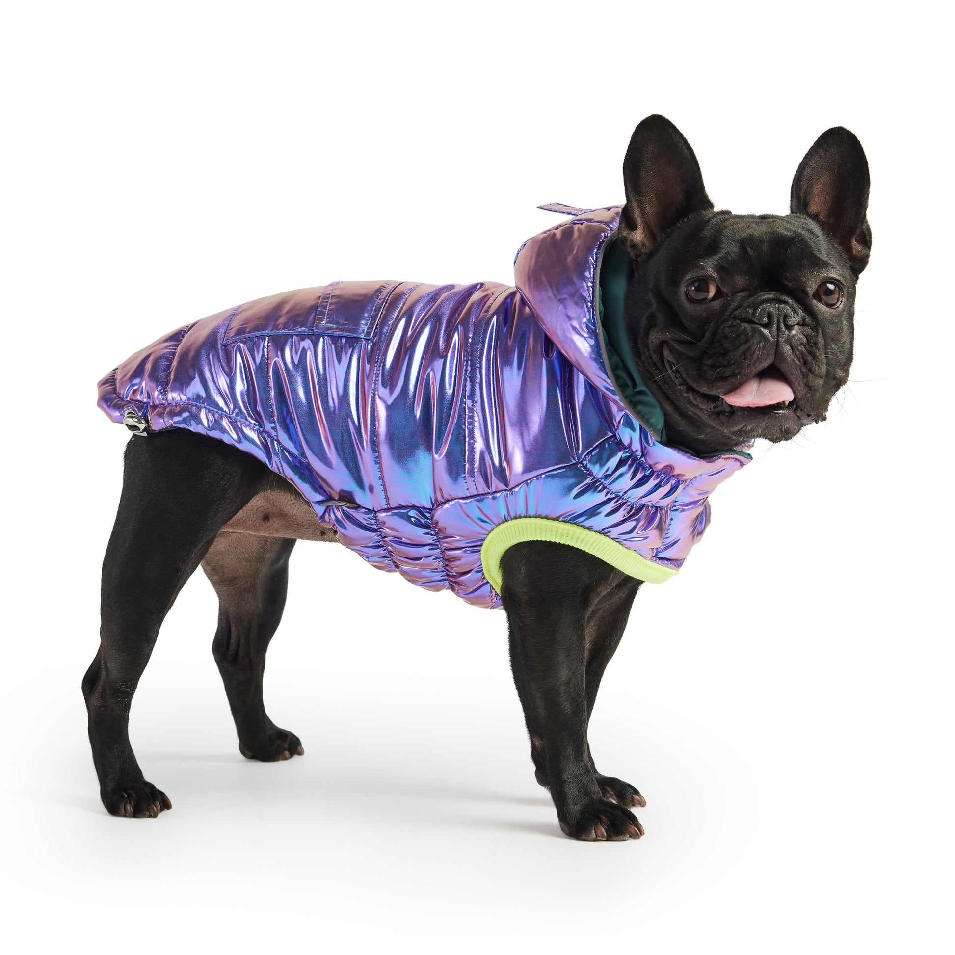 Recycled Parka Dog Coat image 0