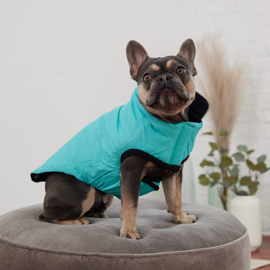 Reversible Chalet Dog Jacket image 5