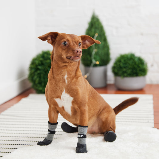 All Terrain Dog Boots image 1