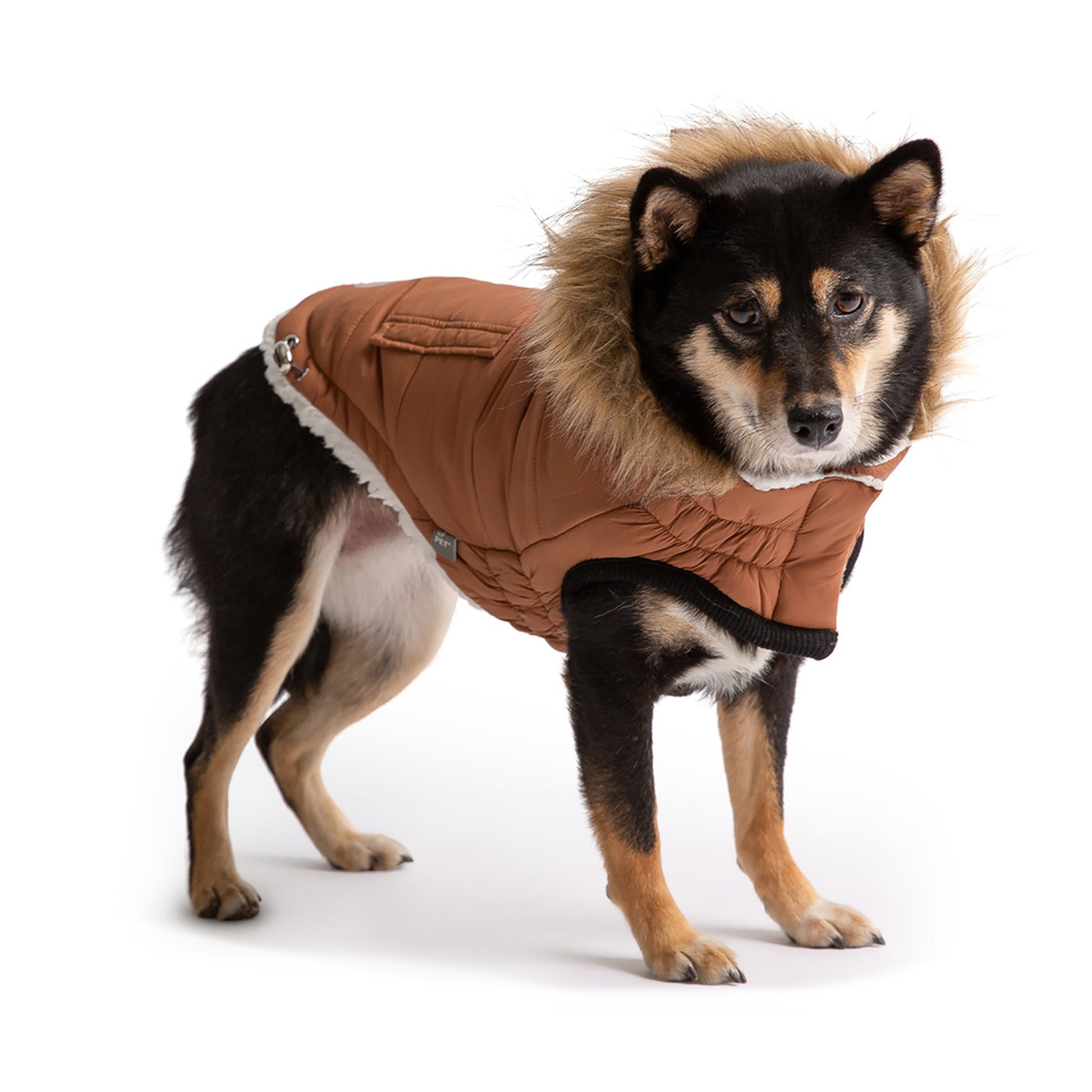 Urban Parka Dog Coat image 0