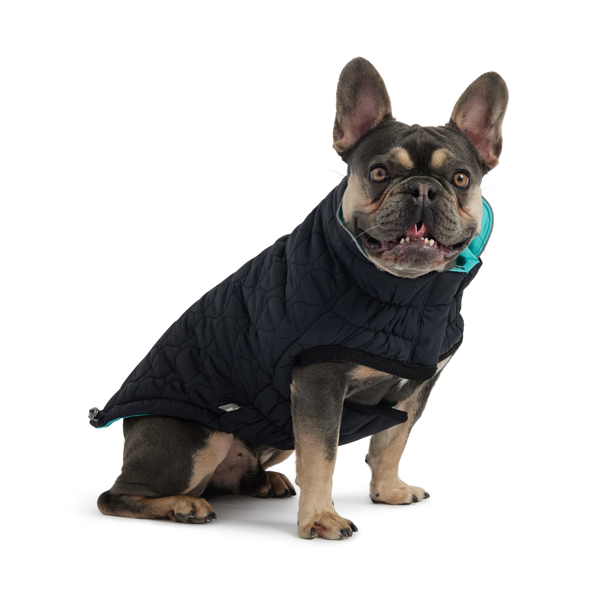 Reversible Chalet Dog Jacket image 2