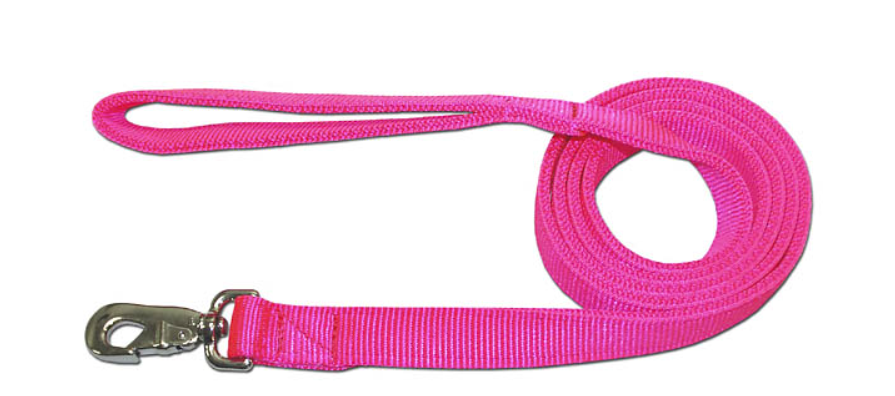 Nylon Dog Leash