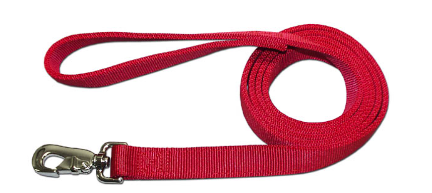 Nylon Dog Leash