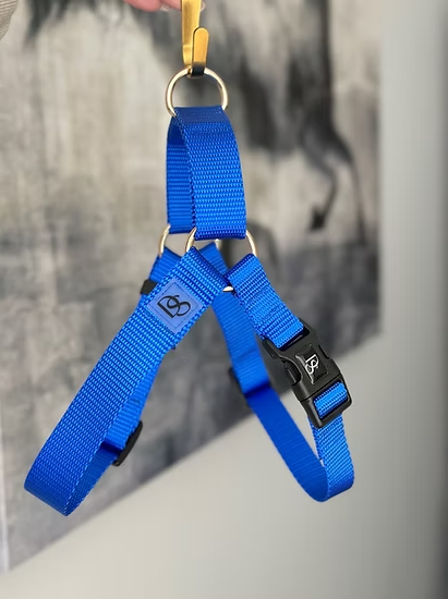 Dog Harness w/ Webbing