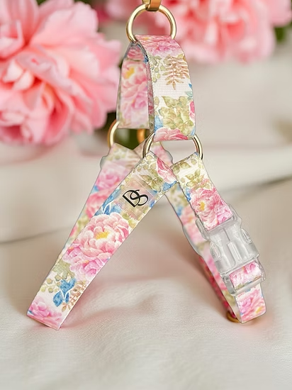 Peony Crush Dog Harness