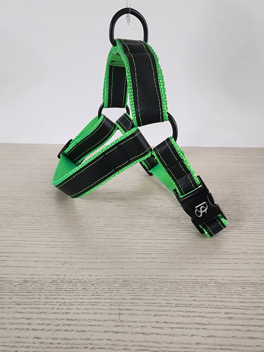 Racing Dog Harness