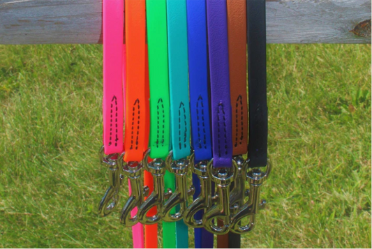 BioThane Dog Leash 6' Snap Leash- 3/8" and 1/2"