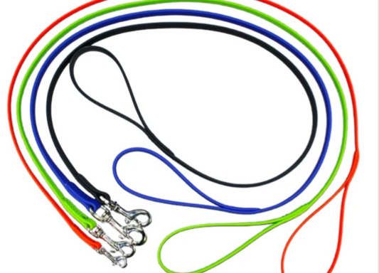 BioThane 6' Snap Leash- 1/2"