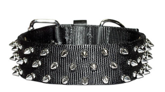 Bad to the Bone Spiked Dog Collar - 2"