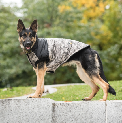 Official Licensed US Army® Dog Jacket