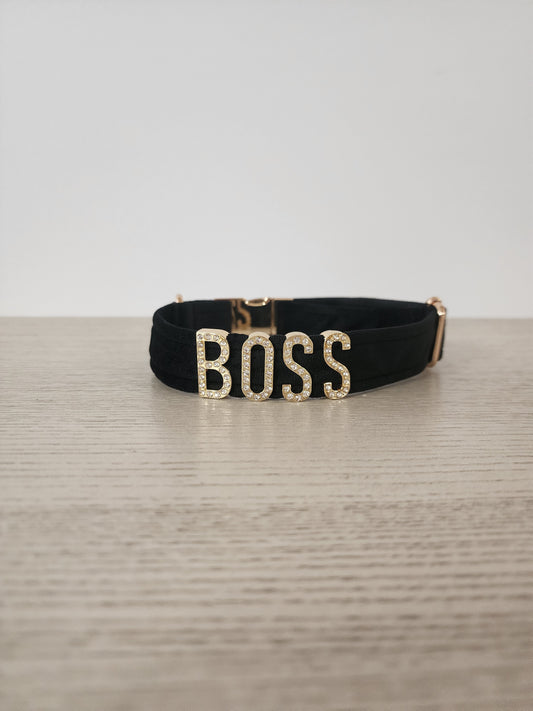 Velvet Dog Collar with BOSS