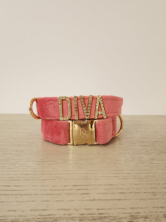 Velvet Dog Collar with DIVA