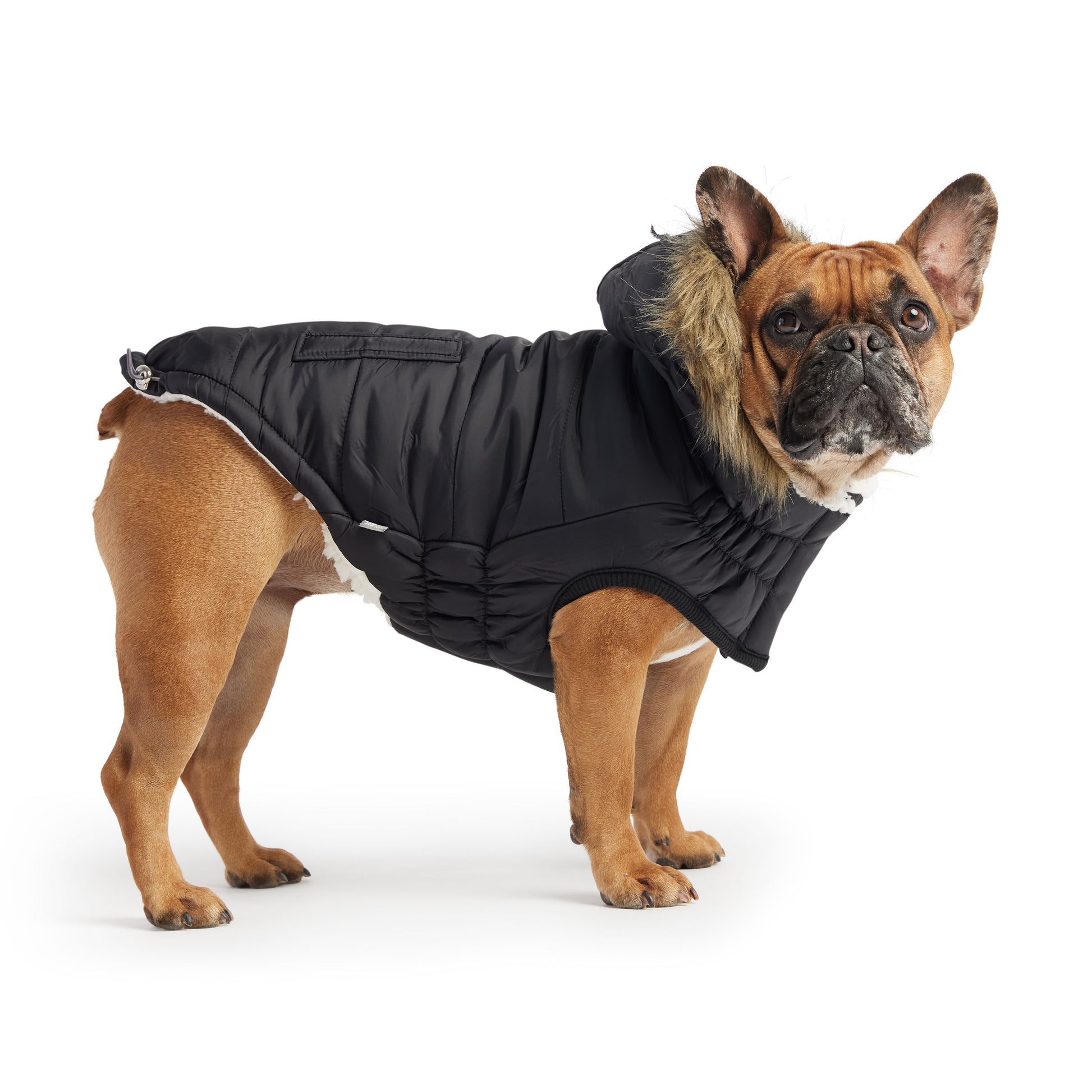 Urban Parka Dog Coat image 1