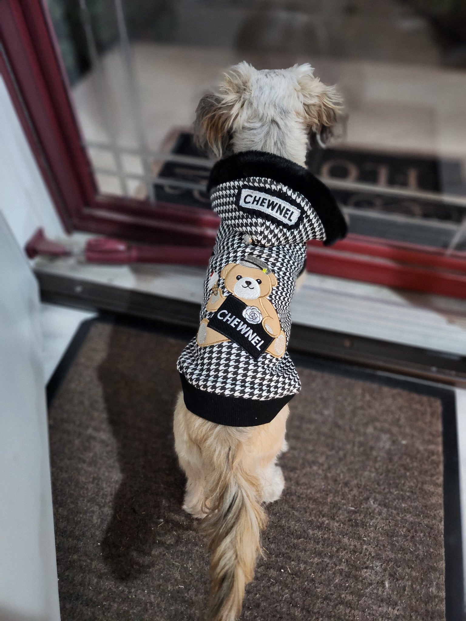 Chewnel Houndstooth Bear Dog Hoodie image 1