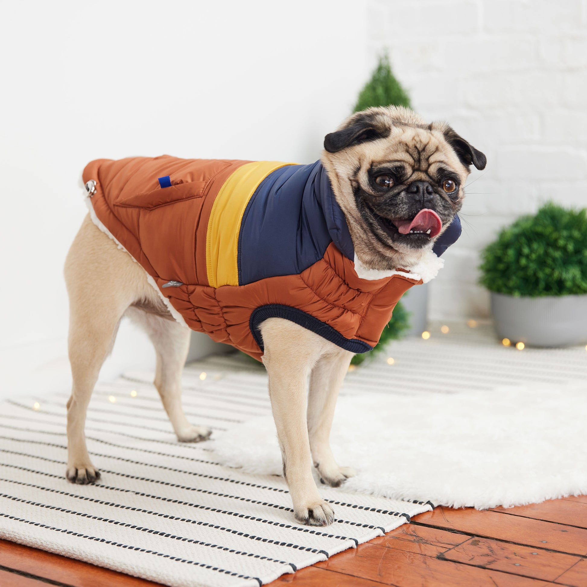Retro Puffer Dog Coat image 6
