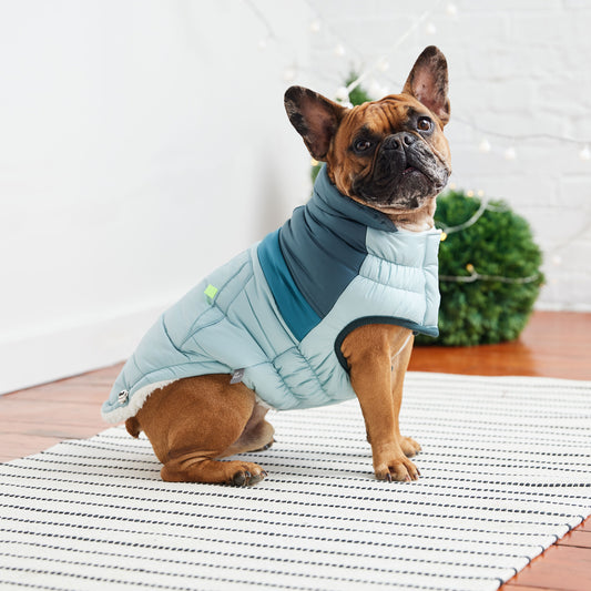 Retro Puffer Dog Coat image 0